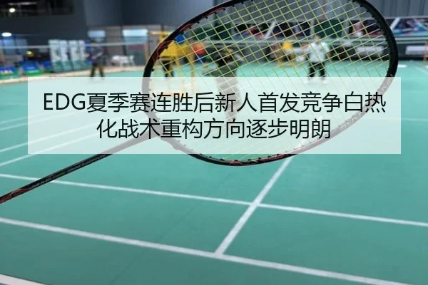 EDG夏季赛连胜后新人首发竞争白热化战术重构方向逐步明朗