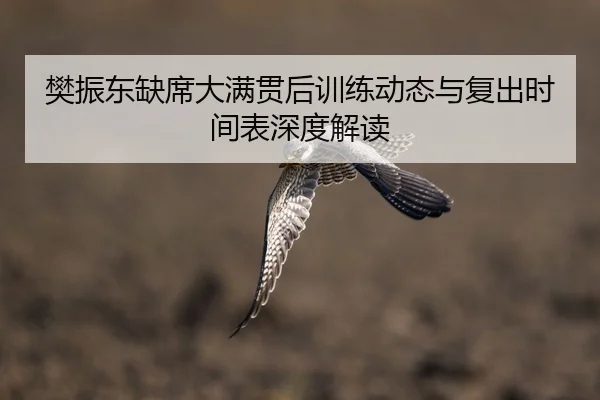 樊振东缺席大满贯后训练动态与复出时间表深度解读