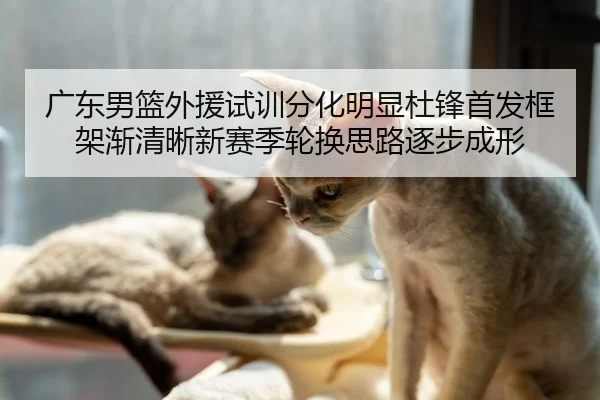 广东男篮外援试训分化明显杜锋首发框架渐清晰新赛季轮换思路逐步成形