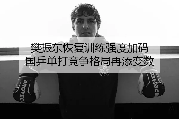樊振东恢复训练强度加码 国乒单打竞争格局再添变数